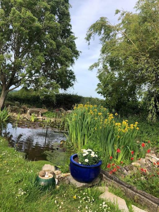 Beautiful Barn Conversion, 3 Bed, Hot Tub, Sauna, Gym, Enclosed Garden Ryde  Extérieur photo